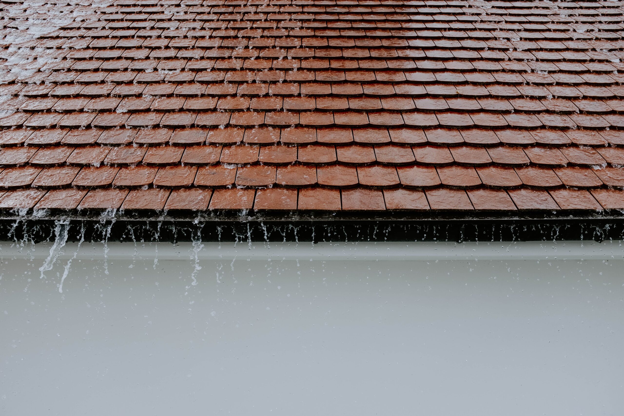 You are currently viewing How to start a gutter cleaning business