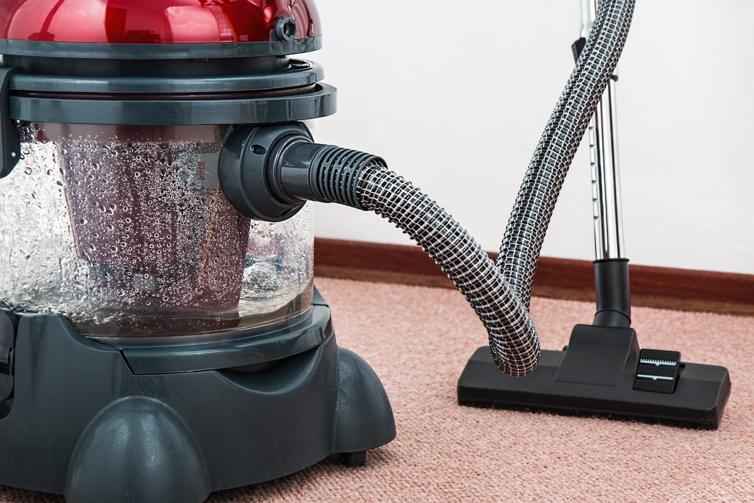 Read more about the article How to start a carpet cleaning business UK